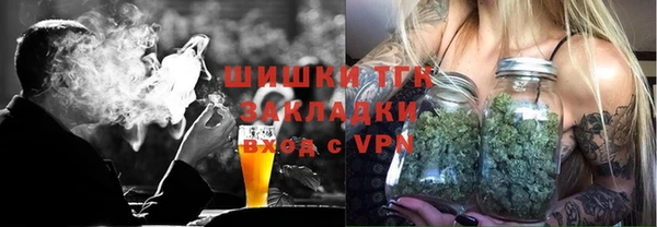 гашик Алексеевка