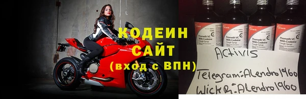 прущие грибы Дубна