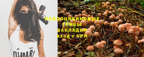 гашик Алексеевка