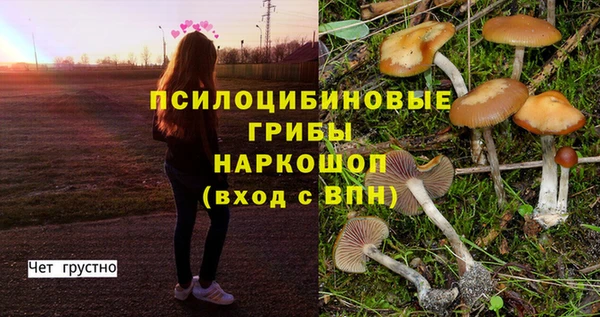 гашик Алексеевка