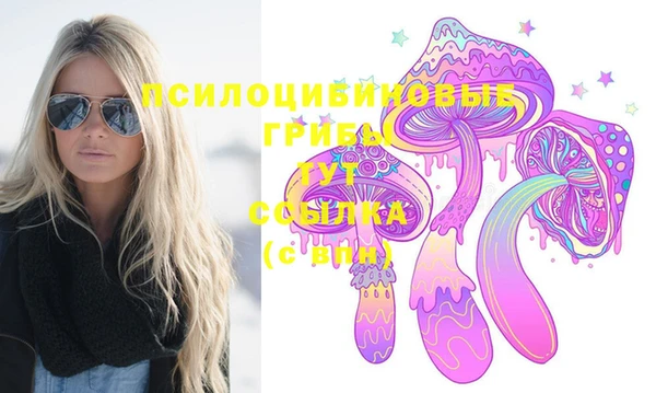 скорость Алзамай